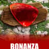 Bonanza