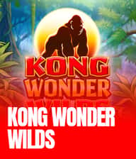 Kong Wonder Wilds
