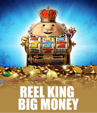 Reel King Big Money