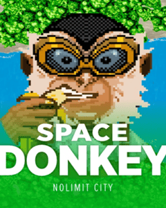 Space Donkey