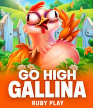 Go High Gallina