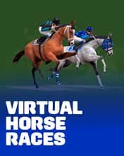 Virtual Horse Races