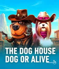 The Dog House - Dog or Alive