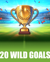20 Wild Goals