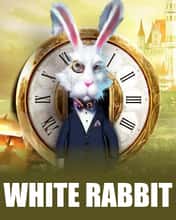 White Rabbit