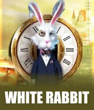 White Rabbit