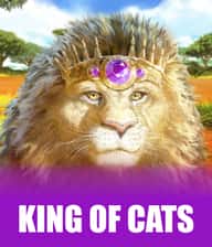 King of Cats