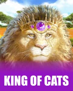 King of Cats