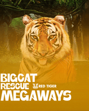 Big Cat Rescue Megaways
