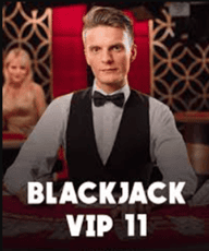 Blackjack VIP 11