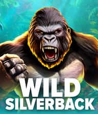 Wild Silverback