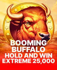 Booming Buffalo Hold and Win Extreme 25,000