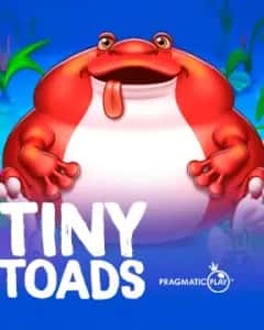 Tiny Toads