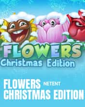 Flowers Christmas