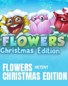 Flowers Christmas