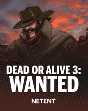 Dead or Alive 3: Wanted
