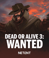Dead or Alive 3: Wanted