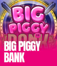 Big Piggy Bank