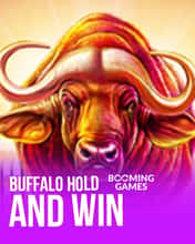 Buffalo Hold and Win