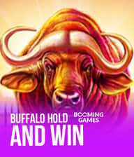 Buffalo Hold and Win