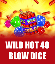 Wild Hot 40 Blow Dice